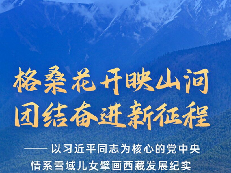 格桑花开映山河 团结奋进新征程——以习近平同志为核心的党中央